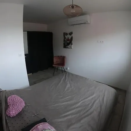 Les Flamants Roses *