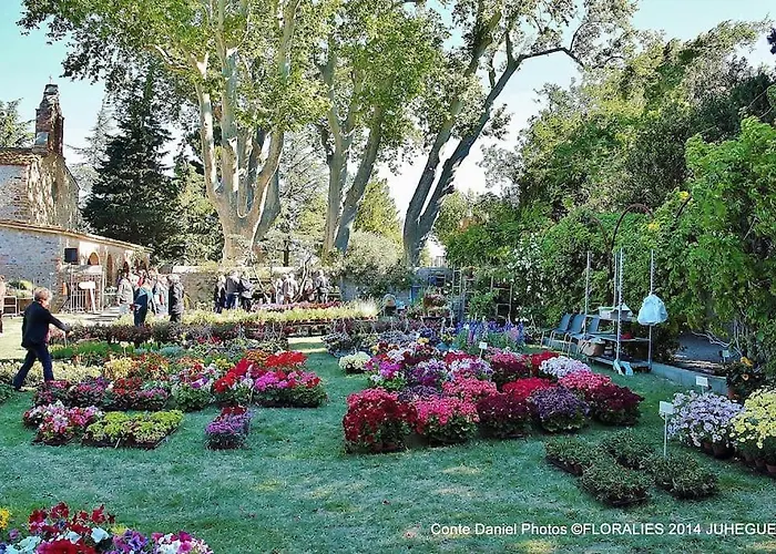 Tatil Evi 3 Etoiles Et 3 Epis Les Flamants Roses *